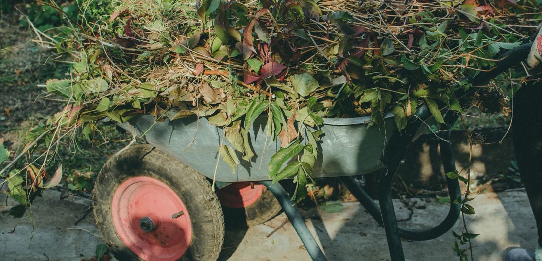 Garden Clean-Up in Pretoria East