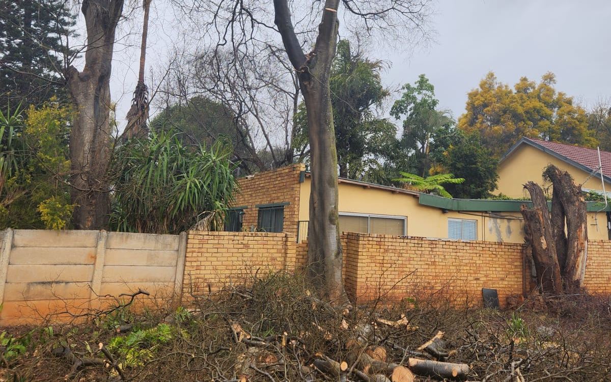 Tree Felling in Pretoria East